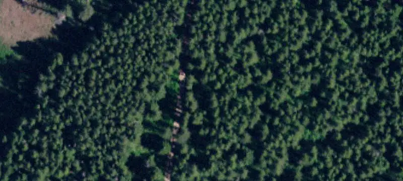 Wooded Waterfront Land