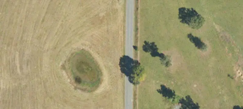 Fenced Agricultural Land