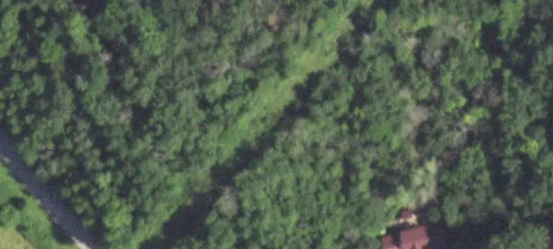 Wooded Hunting Land with Cabin