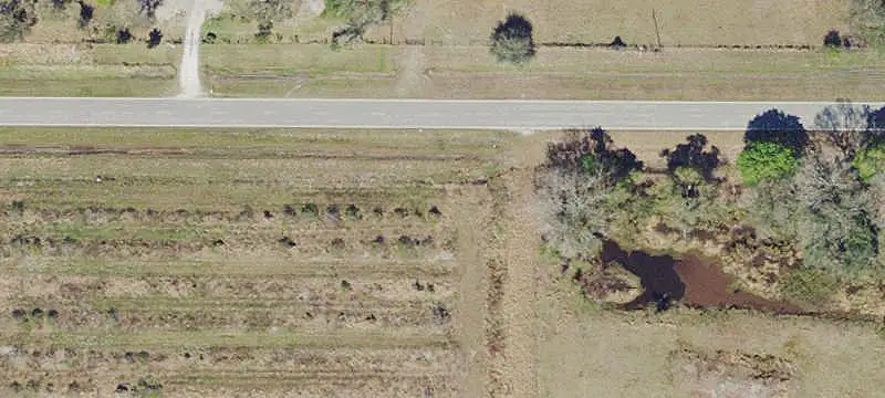 Hamlin–Valencia Grove Farm