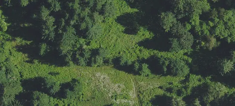 Unimproved Land