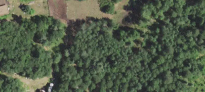 Wooded Waterfront Land
