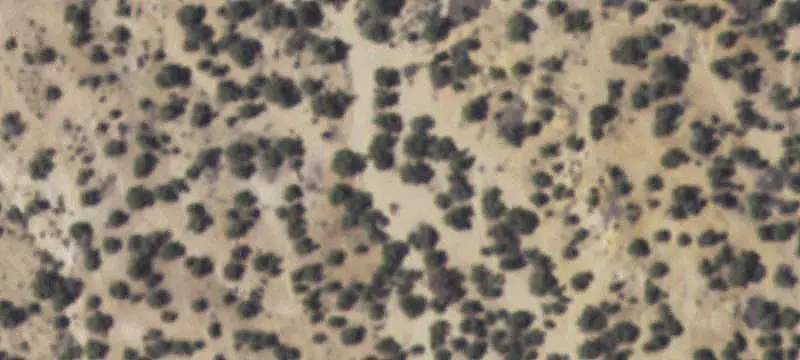 Office-Professional Commercial Land