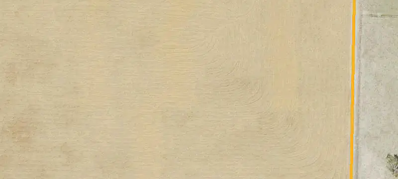 Uncleared Land Parcel