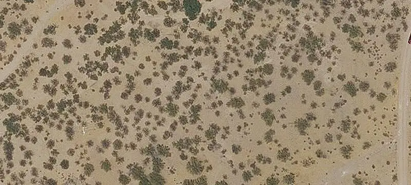 Raw Land Parcel