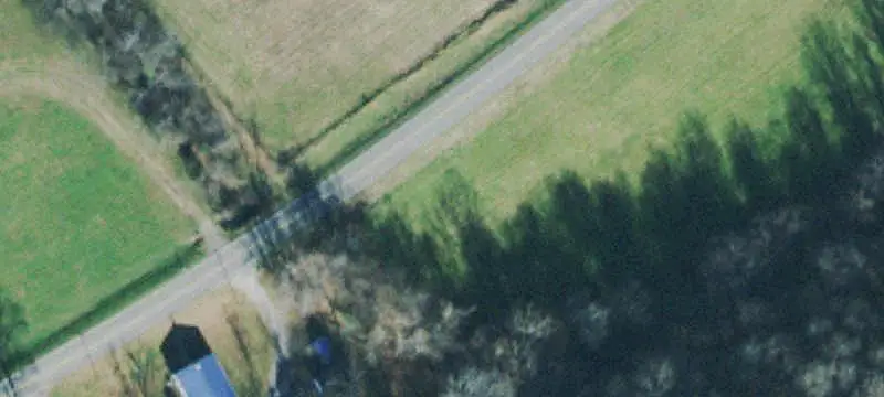 Agricultural Land with Timber