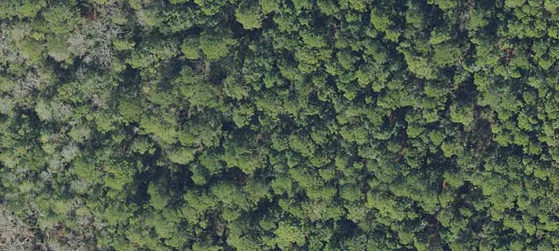 OR-Zoned Land Parcel