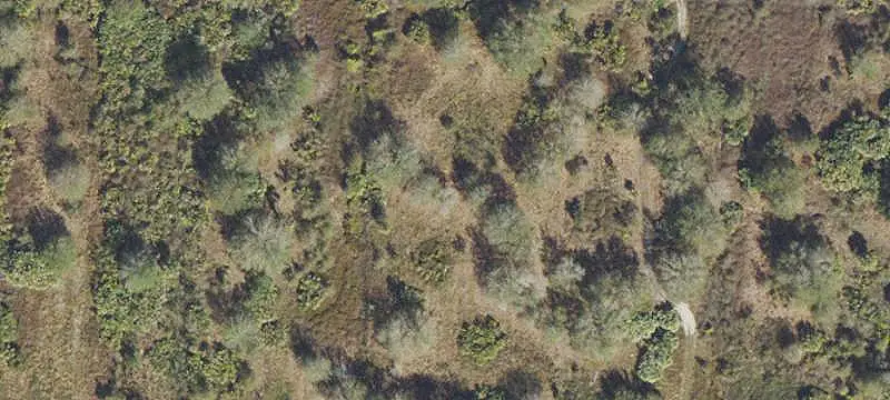 Lots/Land