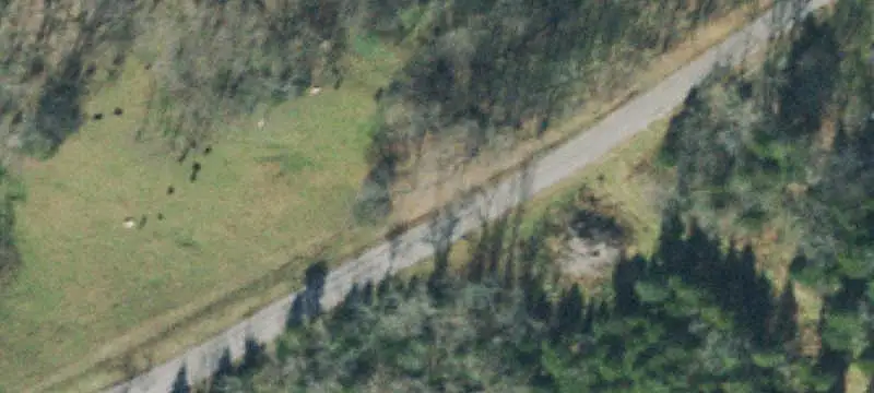 Unimproved Land