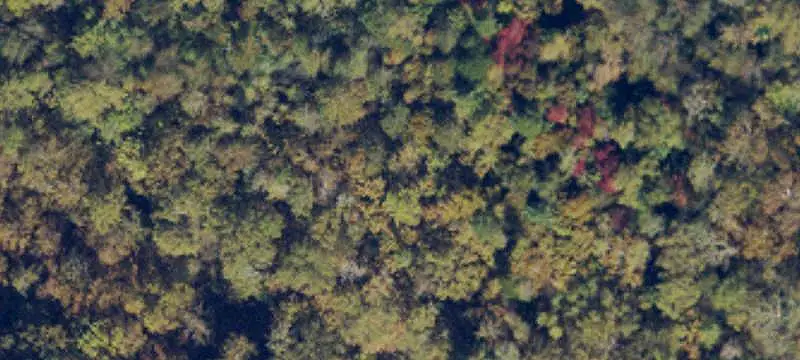 Unrestricted Agricultural Land with Streams