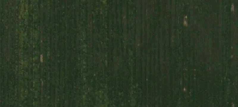Irrigated Farmland