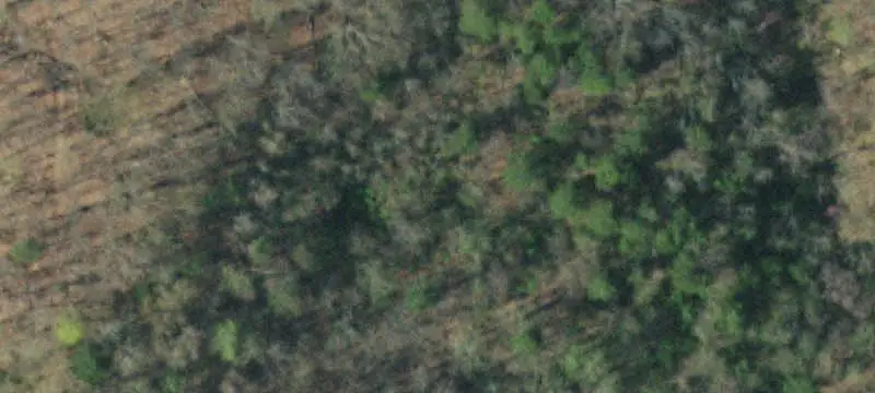 Land