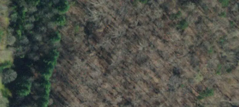 Lots/Land