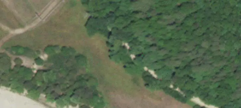 Wooded Recreation Land