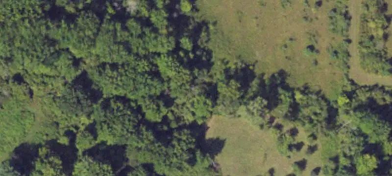 Specialty Property with Pole Barn