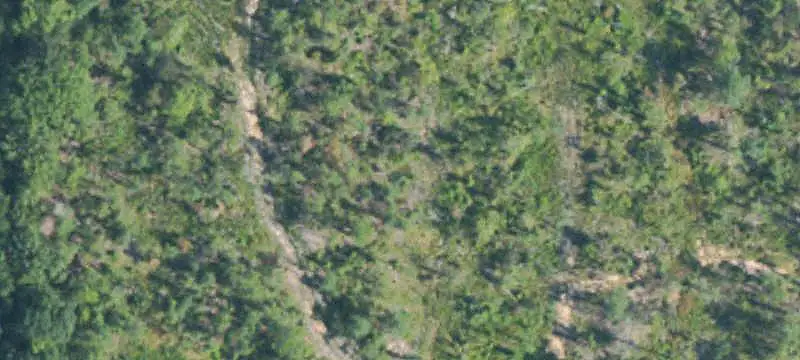 Hunting Land with Mixed Timber