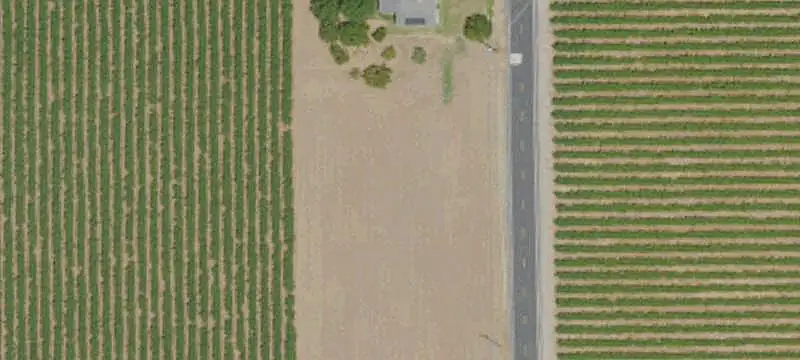 Cabernet Vineyard Near Highway Access