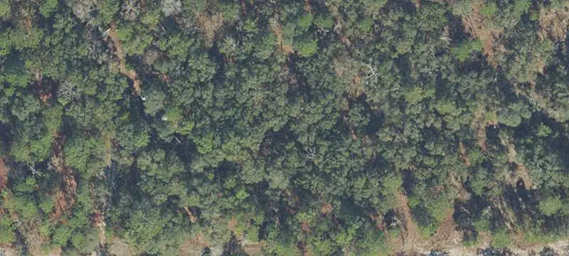 Lots/Land