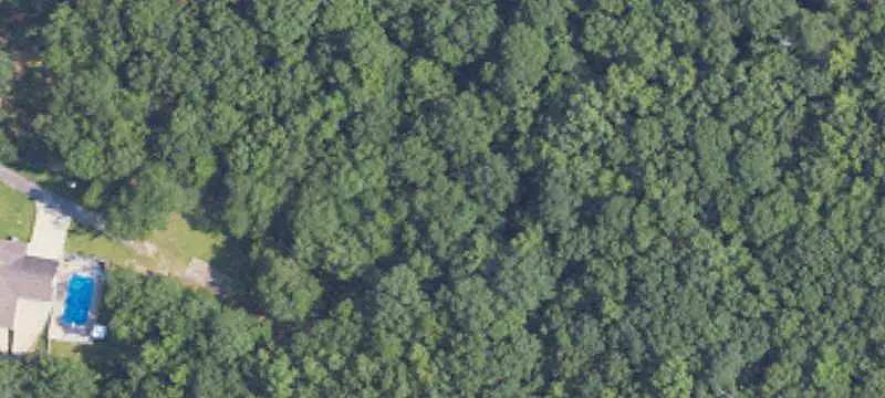 Timber Hunting Land
