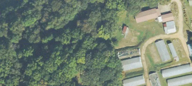 Farm with Heated Greenhouses
