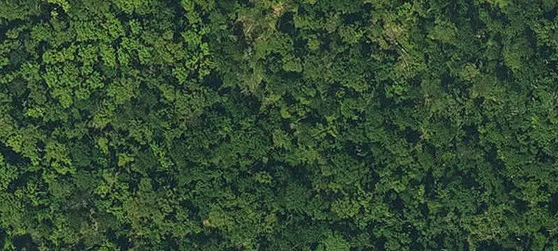 Oak-Tree Residential Land