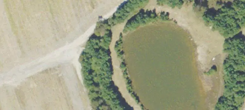 Cleared Agricultural Land