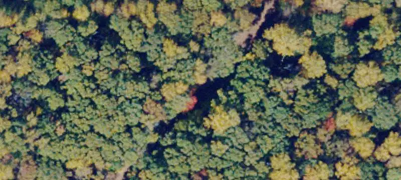Land / Unimproved Land