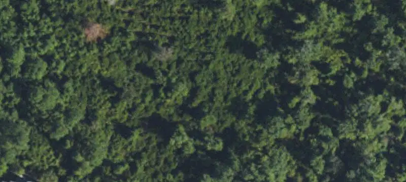 Vacant Land