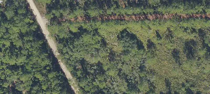 313 TALL PINE TRAIL, SATSUMA, FL 32189