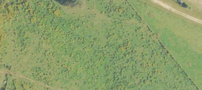 Agricultural Land With Barns