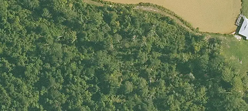 Recreational Timber Land