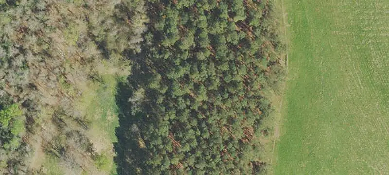 Land / Land/Acreage