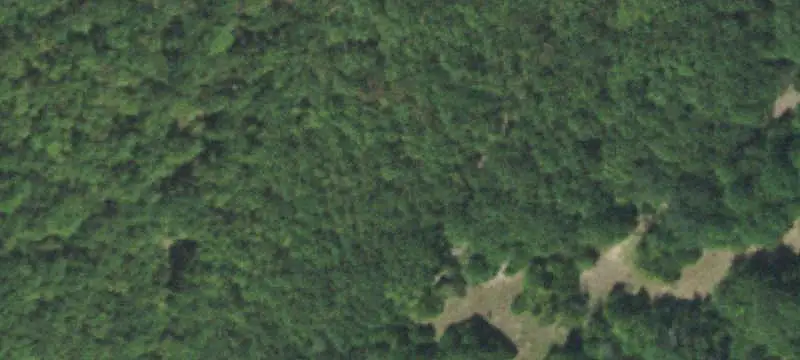 Hunting Land with Pond