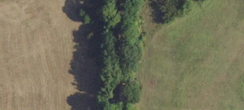 Wooded Hunting Land