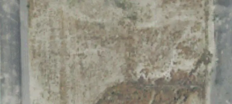 C-3 Corner Commercial Land