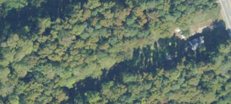 Land Parcel