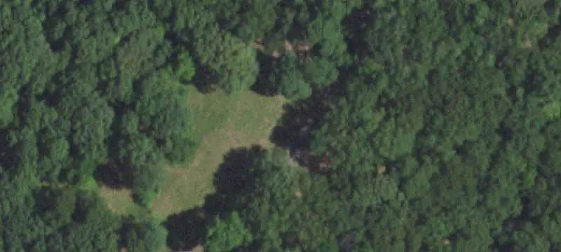 Agricultural Land with Timber