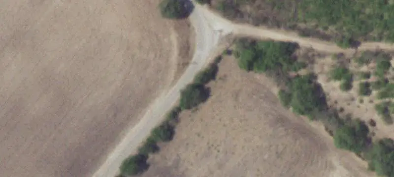 Hunting Land with Road Frontage