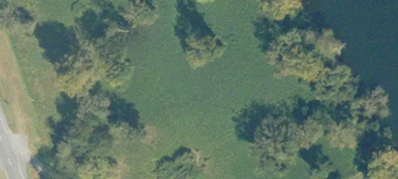 Unimproved Land