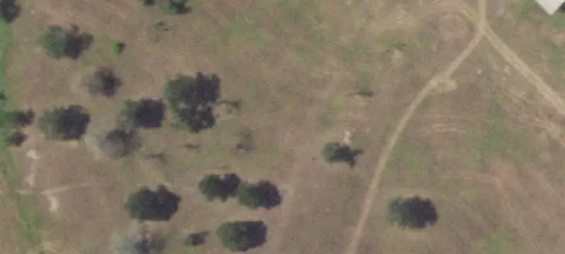 Oak-Studded Agricultural Farm