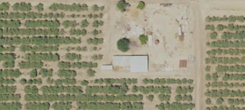 Almond Farm