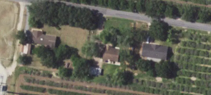 Orange Orchard Farm