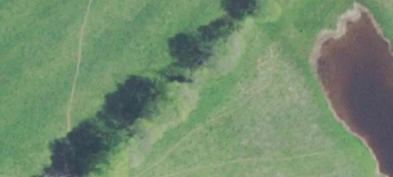 Land / Farm