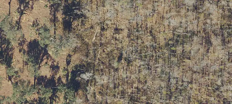 Suwannee River Waterfront Land