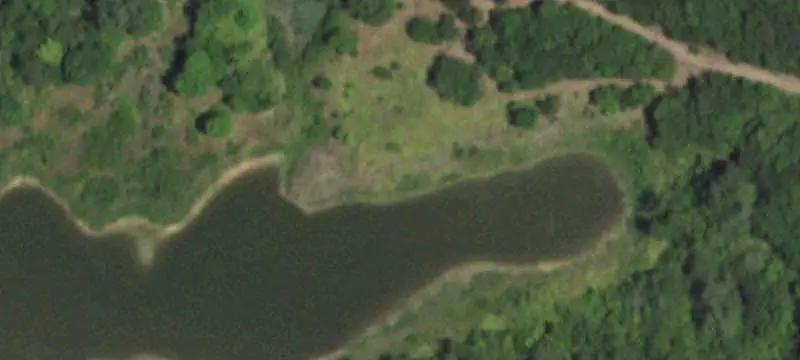 Waterfront Hunting Land