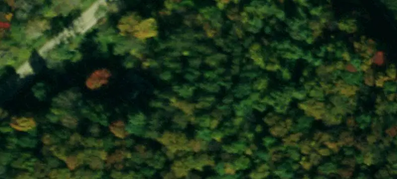 Wooded Hunting Land with Cabin