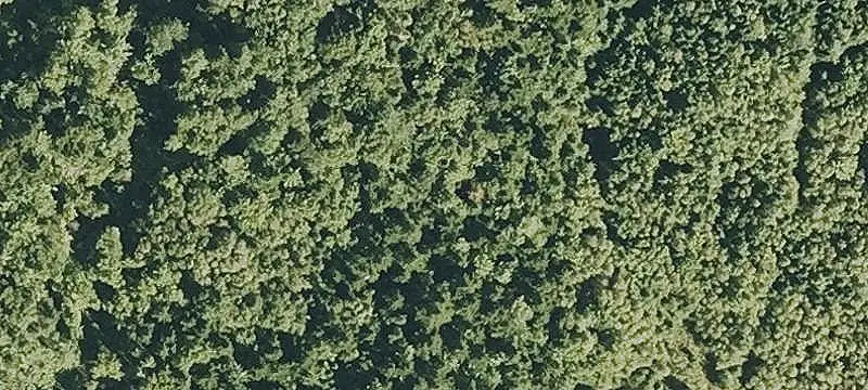 Vacant Land / Lots