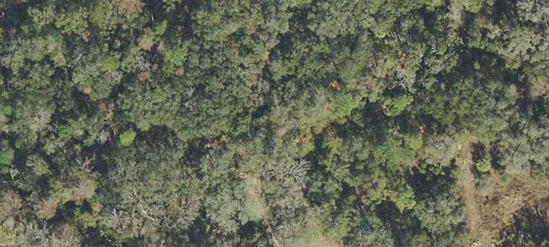 Commercial Land with Buildable Upland