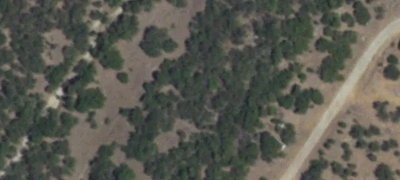 Wooded Land Parcel