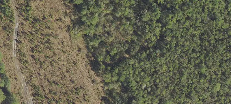 Survey-Defined Land Parcel